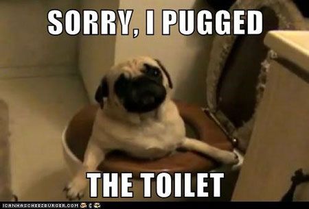 80dd7eb310f069b9589512c95f68eee5