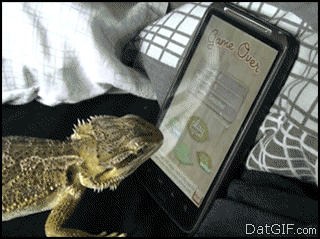 http%3A%2F%2F33.media.tumblr.com%2F40f9d9656f93653c50821f5fef17fd59%2Ftumblr_nfbni5Mniw1s7fwo7o1_400