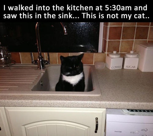 http%3A%2F%2F38.media.tumblr.com%2Fc0efae5de753146bce457952c8af7982%2Ftumblr_neeq1vMujK1sxvay0o1_500