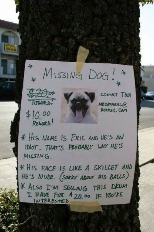 IMG_2884775558079367