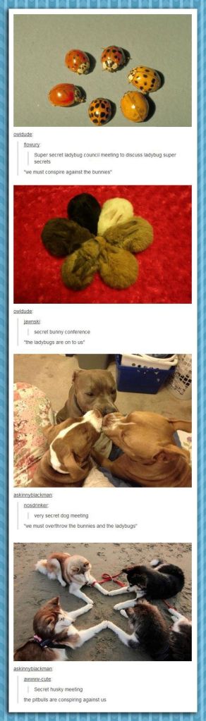 4d7447fb402404398bd69eb8a2922b70