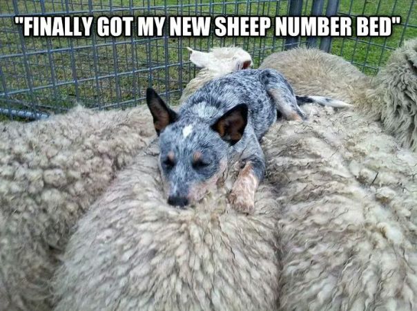 FB_IMG_1422625501299