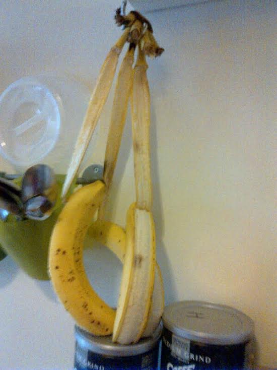 http%3A%2F%2F40.media.tumblr.com%2F97c2abf16d14fd78fe828da531eae15c%2Ftumblr_nk944kxHXh1s7fwo7o1_1280