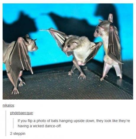 http%3A%2F%2F41.media.tumblr.com%2F80e6fe96c7c173e5b4c073d4f9d14d11%2Ftumblr_njt8lcw31u1sxvay0o1_500