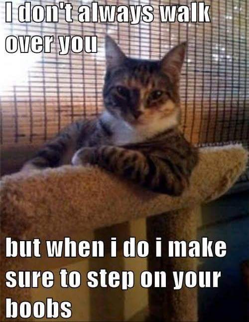 FB_IMG_1426340243752