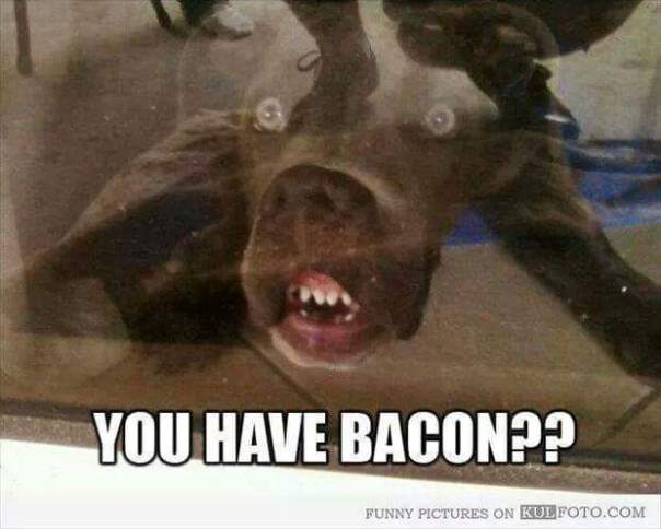 FB_IMG_1427402906139