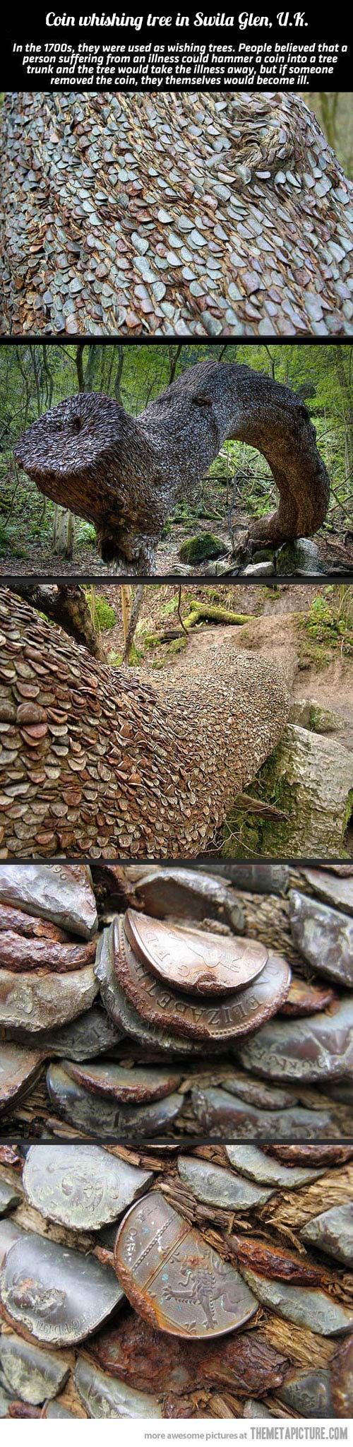 50c89b18b244f8d1730c91b1b4954252