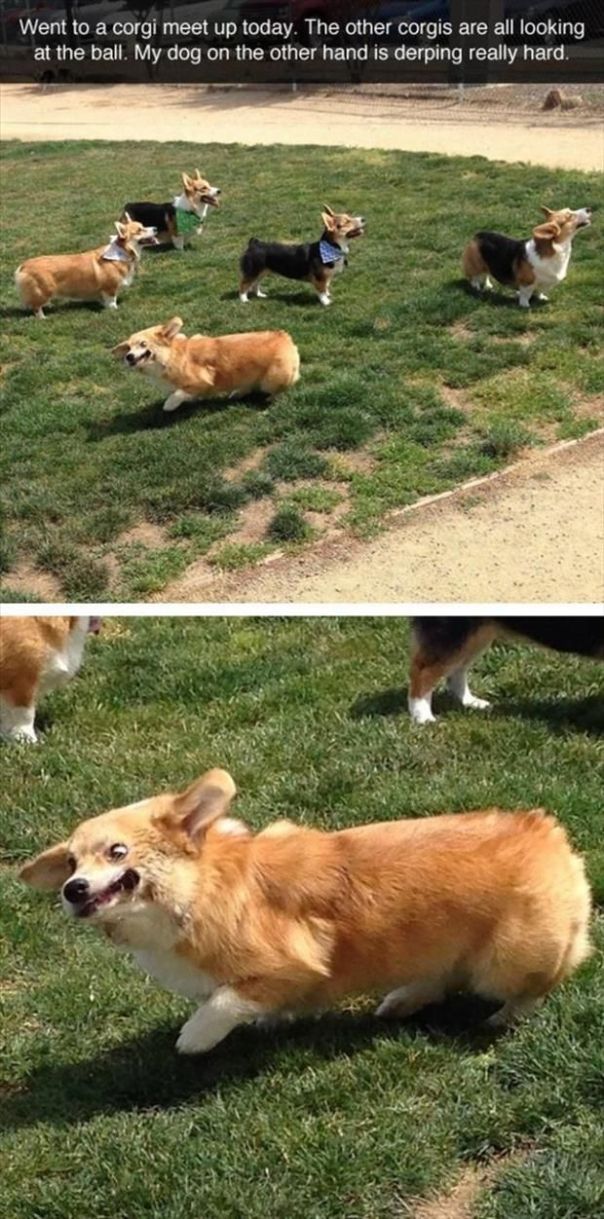 9a1d0f6c920d71f7dfe196cbc08b68f6