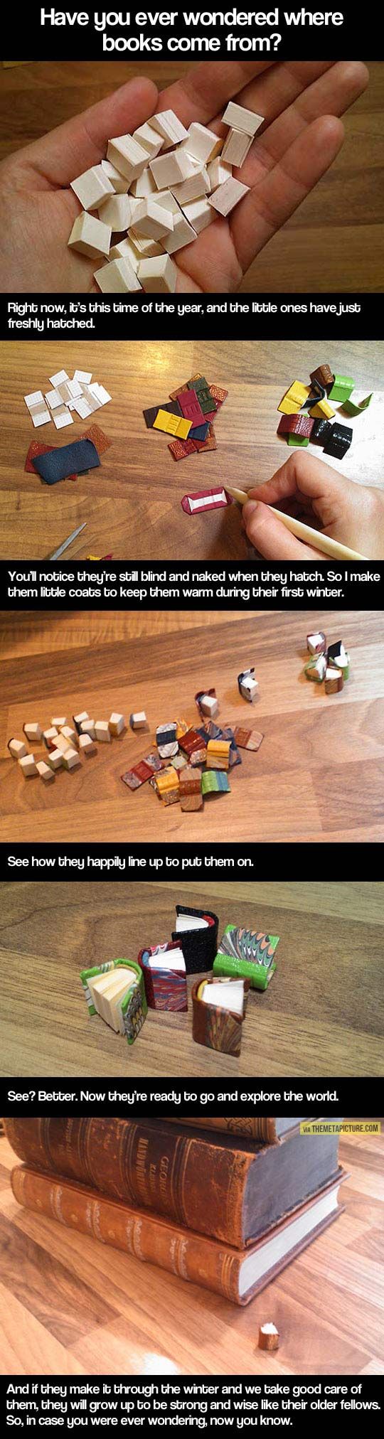 a3bd904f53023b2cbd2efa6ed39c784f