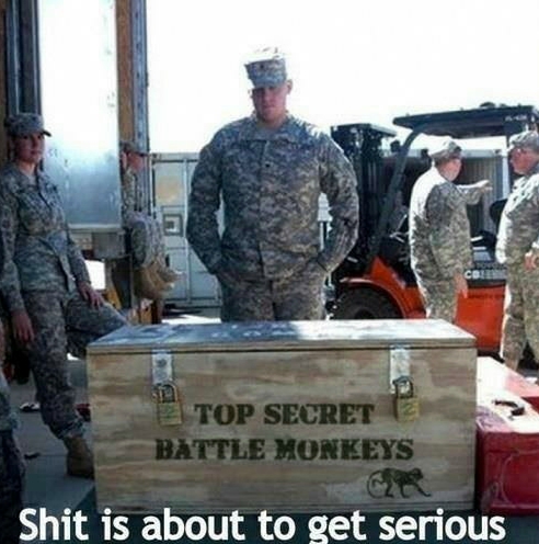 http%3A%2F%2F36.media.tumblr.com%2Fce97580a6a866a36ff56568d4d8d8280%2Ftumblr_njktin9YID1s7fwo7o1_500