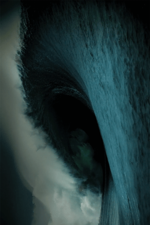 https%3A%2F%2F33.media.tumblr.com%2F5153f4e53f2e4724579cbf5da86cf842%2Ftumblr_nny50dQrxa1smqfiko1_500