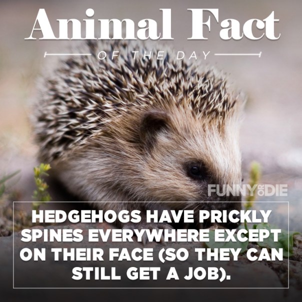 https%3A%2F%2F40.media.tumblr.com%2Fb043093167bfc989ae684e8906bc9e1e%2Ftumblr_nny304xKgC1qzx3jto1_1280