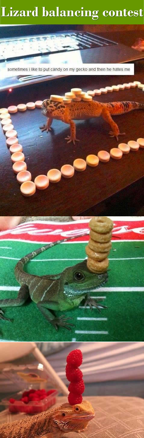 https%3A%2F%2F40.media.tumblr.com%2Fbc5d3e384ad1ab55117fc6345eb712b1%2Ftumblr_nnroichO7x1sxvay0o1_1280