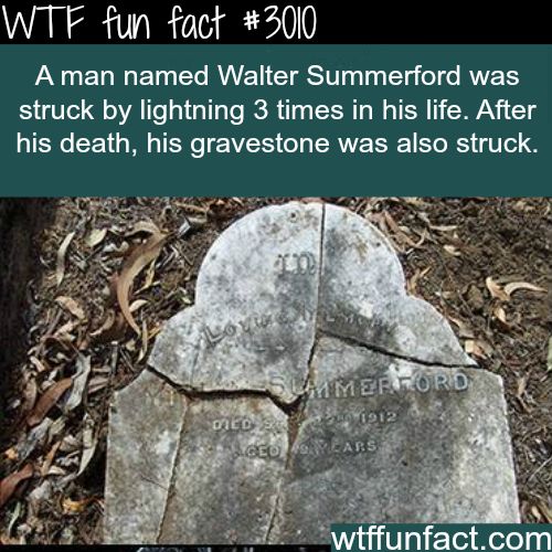 ddf520930dea4f58b97b4368e51539f2