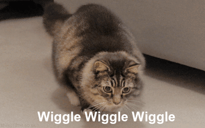 https%3A%2F%2F38.media.tumblr.com%2F83c97db039cf5d175c128f7355bc6dde%2Ftumblr_nowdxniUIr1sxvay0o1_400