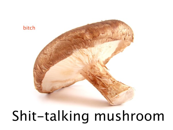 https%3A%2F%2F40.media.tumblr.com%2F5c1700ce6a3260a7b792e30c22120933%2Ftumblr_n7x8i9VT4d1qd4vqjo2_1280