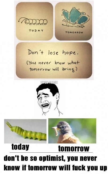 https%3A%2F%2F41.media.tumblr.com%2F4bb1ed3a30873d3d05afd248635b9a4e%2Ftumblr_nqijlms9kP1sxvay0o1_500