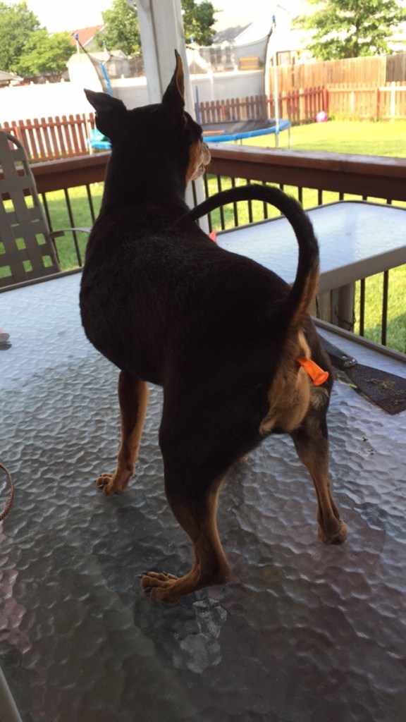 https%3A%2F%2F41.media.tumblr.com%2Fe99a0cb63dd924d53c6edf31bb518f41%2Ftumblr_nqrmy1oNMX1s7fwo7o1_1280