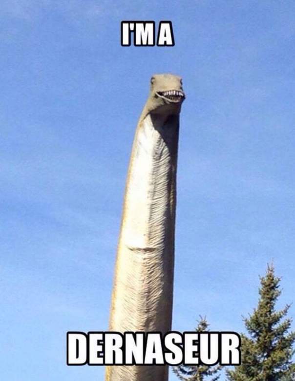 FB_IMG_1436455582160.jpg image