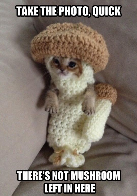 d444b5c8f51f3d11141169141983841d