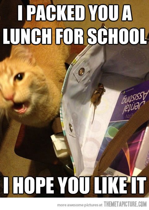 263f5cd892218532a20004f9575dfa91 (1)