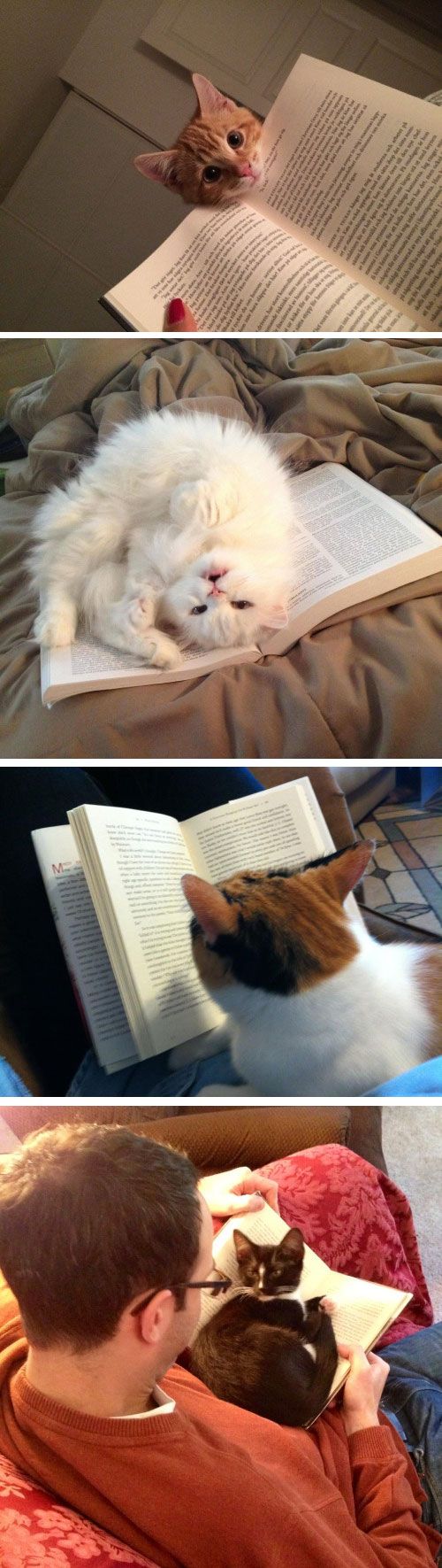 865239dff61d654f1699b6e7e35bfae8