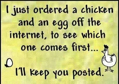 FB_IMG_1440348631469