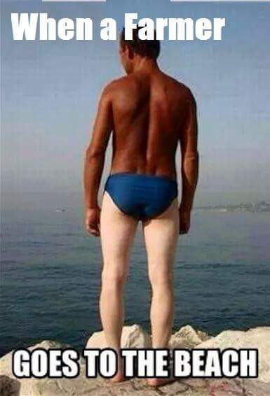 FB_IMG_1440944428612