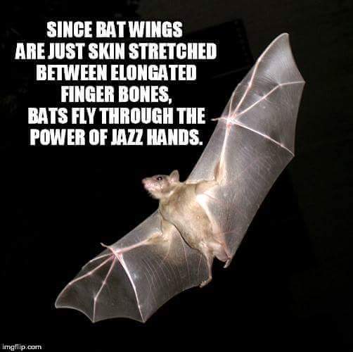 FB_IMG_1443185772692.jpg image