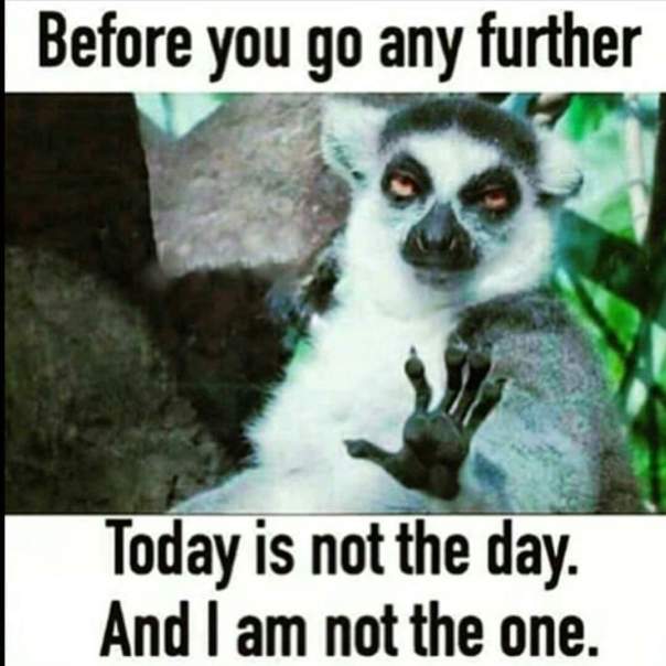 FB_IMG_1444316531755