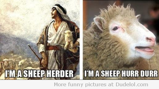 im-a-sheep-herder