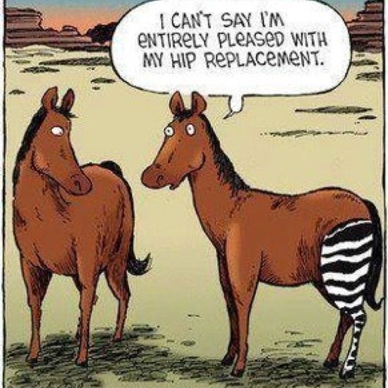 76340f1de59382392701a9b4bbc44ce8