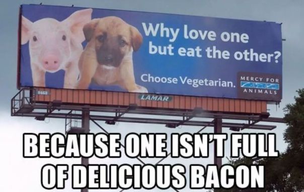 FB_IMG_1446338859525