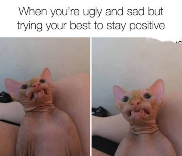 funny_picdump_1135_640_34