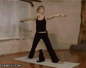 Yoga-Fails-4.gif