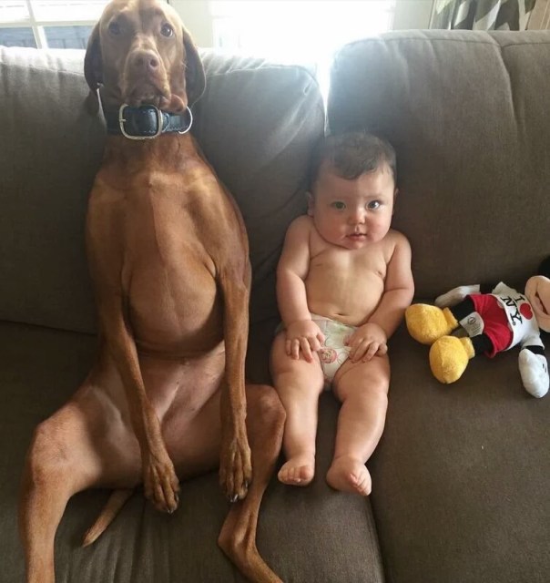 IMG_20160321_225048.jpg image