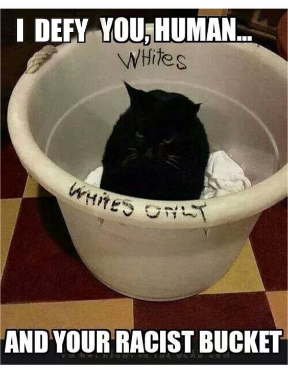 5680e9458baddbc90c676ae99873be0a