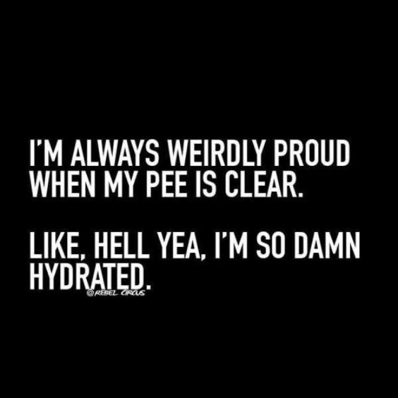 9441de0ddd10d5abbc06d0ec44e6b7c5