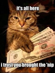 3290a3ec7ffce2f40cb4e4a4f3608ac7