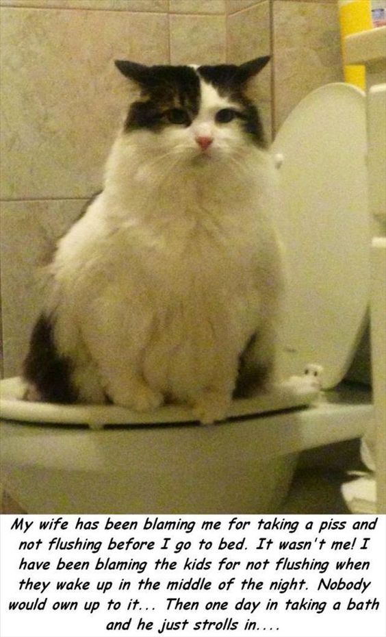 4366aa927984bb016210643e330731fc