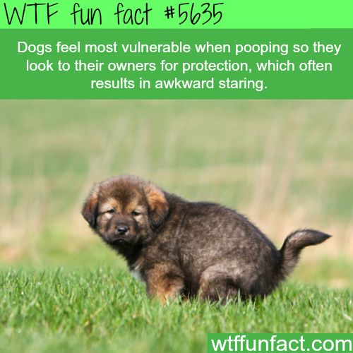 888591aa91642524fdae29947d5c4773