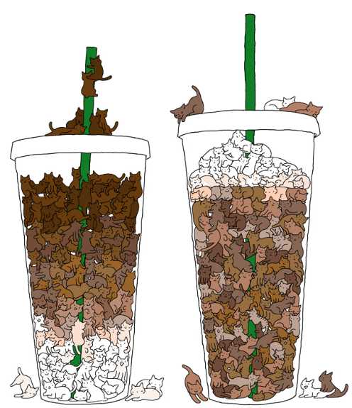 tumblr_mmoprlIWdh1s2xh2ro2_500