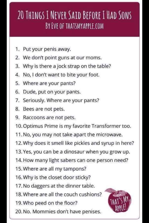 wp-1464538470425 image