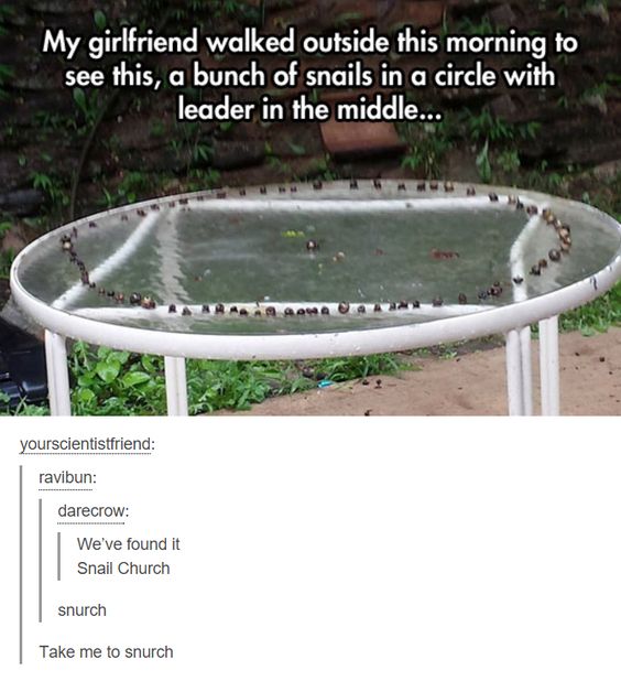 8df1e5c5aa49205849febabae3c4822d