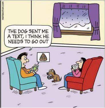 wp-1466034942459 image