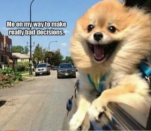 wp-1466217222714 image