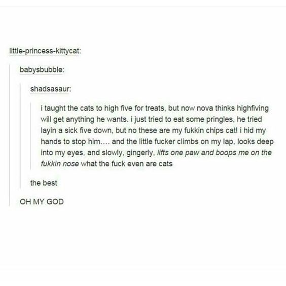 91ce5599ea21b2d95e7e18090ecff7f4