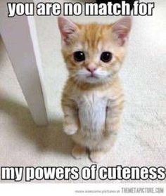 9f0ffa496a0d8f4ce34499a42c7490a1