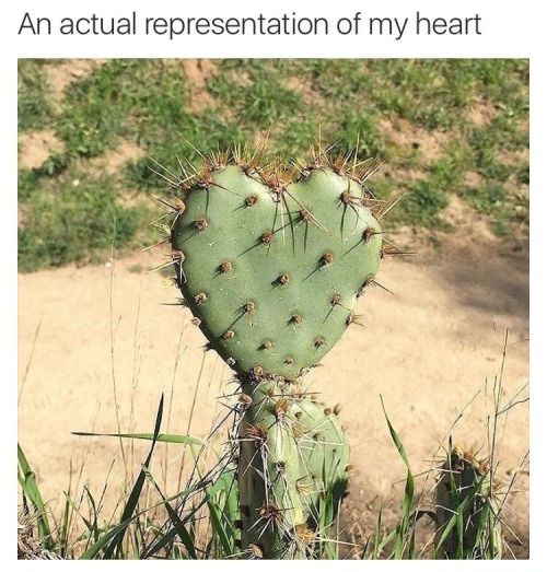 c920c859bb8b5a29d6f7cb1bfc682ada