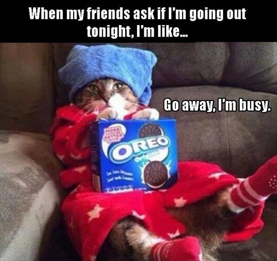 15a9752af2f2e6778541427423bad05e